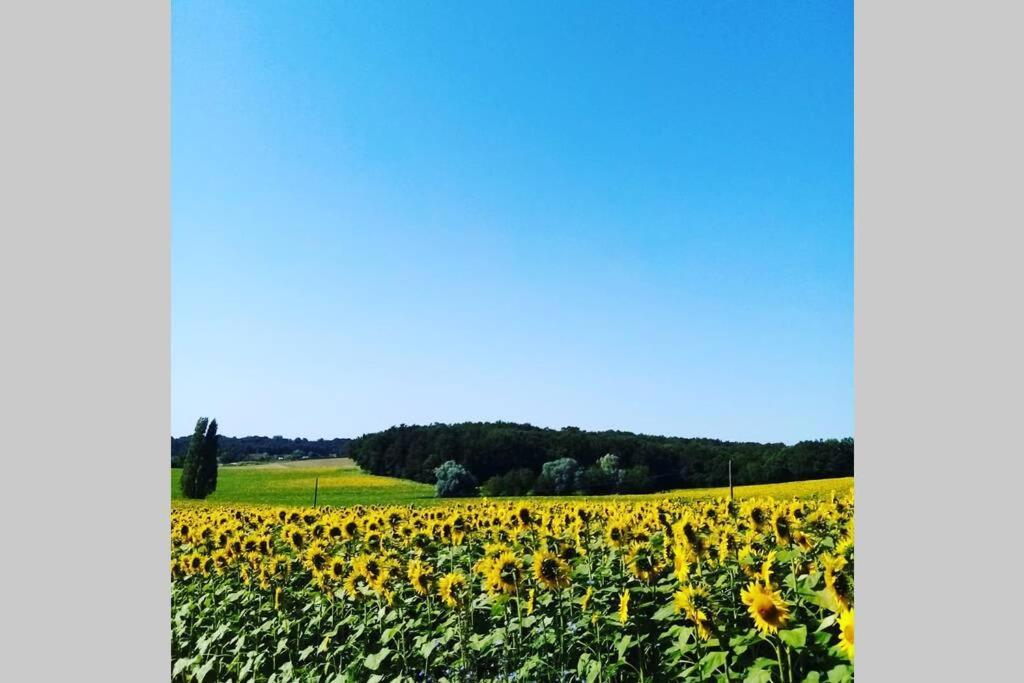 As Seen On A New Life In The Sun - Beautiful 3 Bedroom Cottage With Shared Pool Montboyer 외부 사진