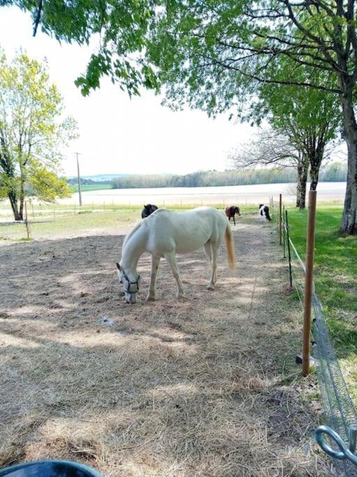 As Seen On A New Life In The Sun - Beautiful 3 Bedroom Cottage With Shared Pool Montboyer 외부 사진