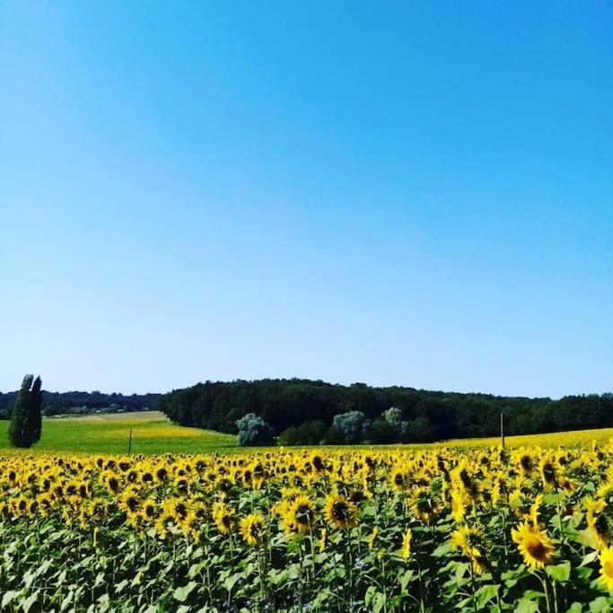 As Seen On A New Life In The Sun - Beautiful 3 Bedroom Cottage With Shared Pool Montboyer 외부 사진