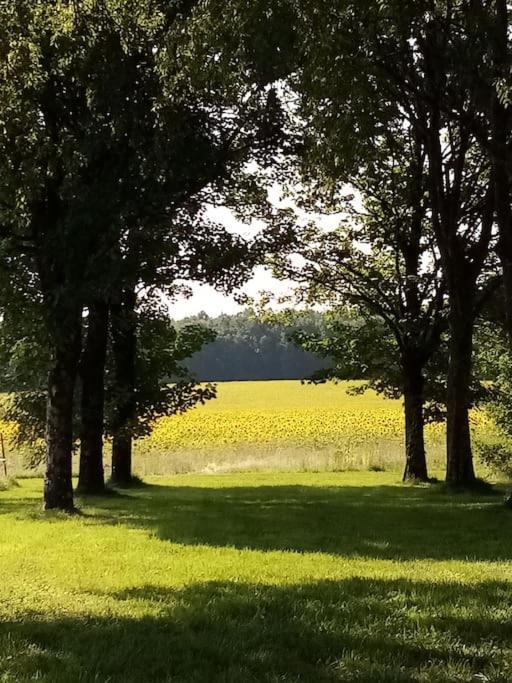 As Seen On A New Life In The Sun - Beautiful 3 Bedroom Cottage With Shared Pool Montboyer 외부 사진